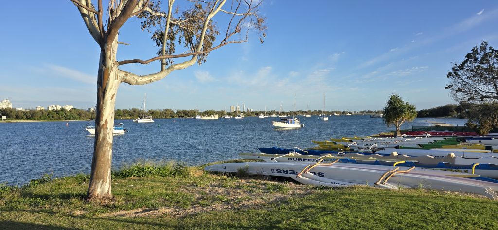 Broadwater seen through a eucalyptus frame with Marina Mirage in the distance